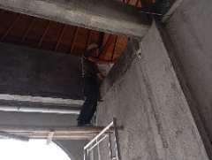 Foto site Roy 25 Jun