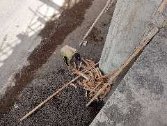 Foto site Anang 25 Jun