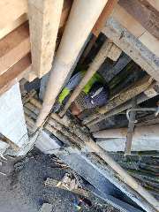 Foto site Sofi 7 Jul