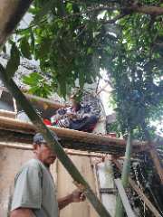 Foto site Sugik B 7 Jul