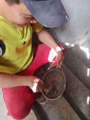 Foto site Munir 7 Jul