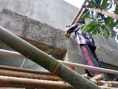 Foto site Sugik B 8 Jul