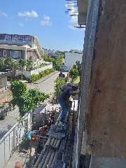 Foto site Mus 8 Jul