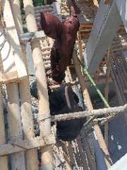 Foto site Hasan 9 Jul