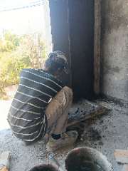 Foto site Sofi 10 Jul