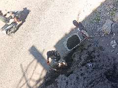 Foto site Peni 10 Jul