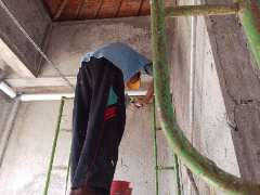 Foto site Wahyu  11 Jul