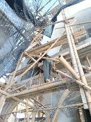 Foto site Roy 13 Jul