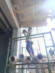 Foto site Parman 14 Jul