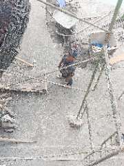 Foto site Adi 14 Jul