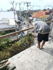 Foto site Ifan 16 Jul
