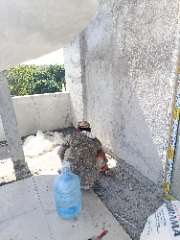 Foto site Andri 17 Jul