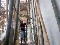 Foto AI review Awang 2026-07-19