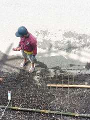 Foto site Zaini 21 Jul