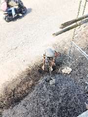 Foto site Fian 23 Jul