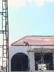 Foto site Munir 23 Jul