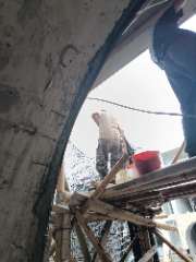 Foto site Farel 25 Jul
