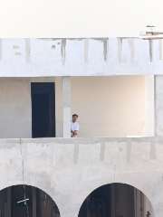 Foto site Feri 25 Jul
