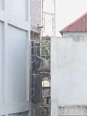 Foto AI review Dul 2026-08-01