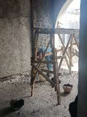 Foto site Sofi 6 Agu