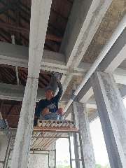 Foto site Roy 7 Agu
