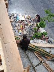 Foto site Wahid 7 Agu