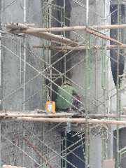 Foto site Parman 8 Agu