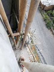Foto site Dul 8 Agu