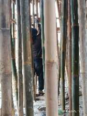 Foto site Wahid 15 Agu