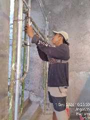 Foto AI review Fery 2026-09-01