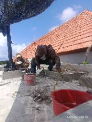 Foto AI review Wahid 2026-09-15