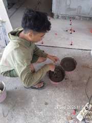 Foto AI review Anang 2026-09-20