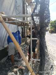 Foto AI review Fery 2026-09-28