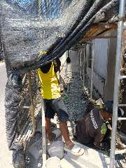 Foto AI review Fery 2026-10-01