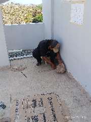 Foto site rizal 2 Okt