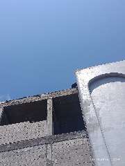 Foto site Ridho 2 Okt